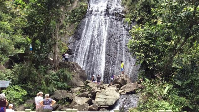 San Juan: El Yunque Rainforest Guided Tour - Photo 4 (Gallery view)