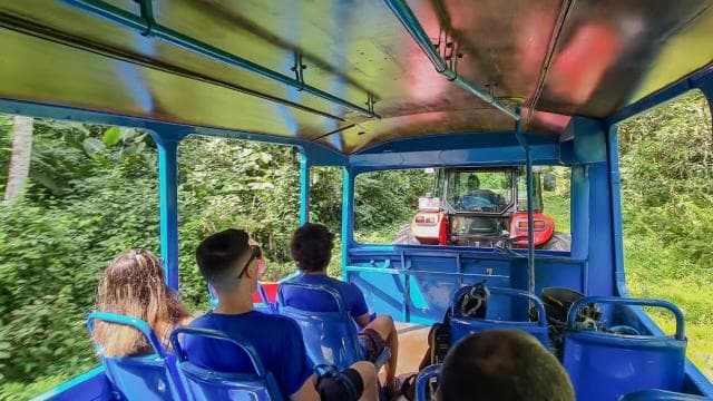 La Fortuna: 12 Canopy Zip Lines and Forest Walk Guided Trip - Photo 5 (Gallery view)