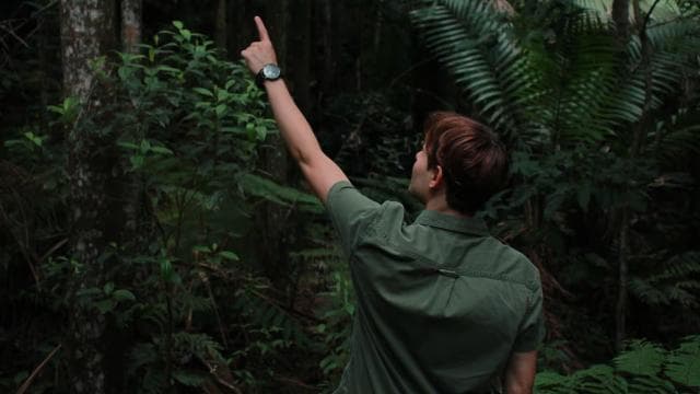 Discover a Hidden Paradise & Learn about Plants. - Photo 2 (Gallery view)