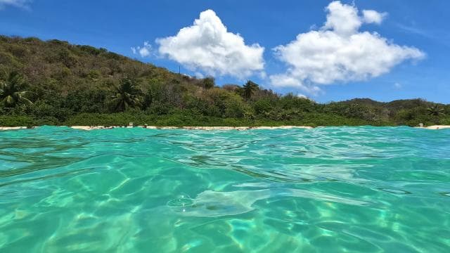 Fajardo: Culebra Boat Trip with Snorkeling, Lunch and Drinks - Photo 4 (Gallery view)