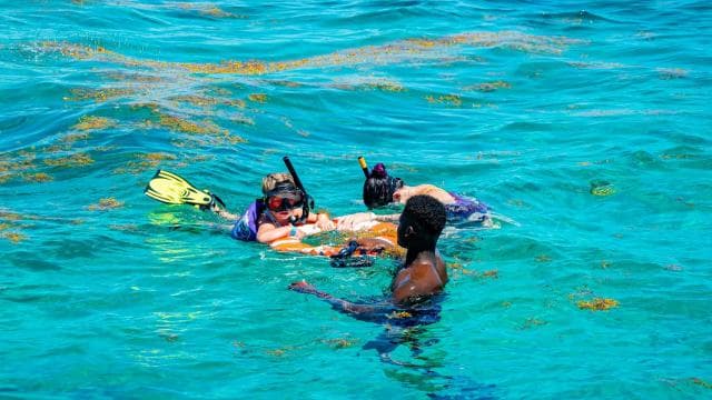 Power Cruise Tour with Snorkeling - Photo 4 (Gallery view)