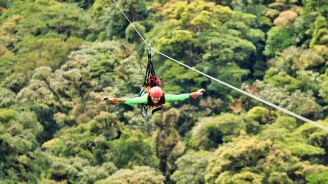 Monteverde: Zip Line, Bridges, and Butterfly Garden Tour - Photo 5 (Gallery view)
