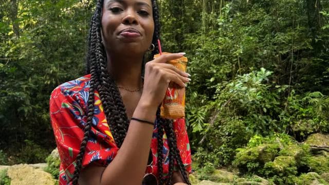 El Yunque Rainforest and Waterfalls : Greenery and Scenery - Dominican Republic