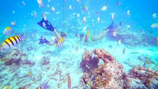 Punta Cana: Guided Power Dive Adventure - Photo 3 (Gallery view)