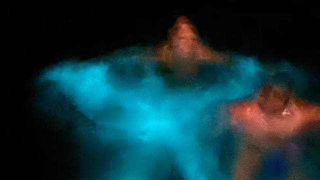 Private Snorkeling, Sunset and Bioluminicent Swim Boat Tour - Dominican Republic
