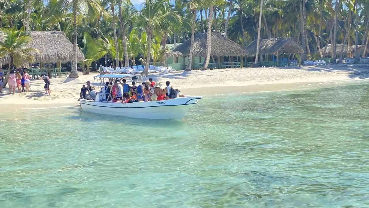 Crucero de día completo por Isla Saona desde Santo Domingo con almuerzo - Photo 4 (Gallery view)