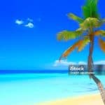 Punta Cana: Saona Island Cruise with Lunch & Open Bar - Photo 3 (Gallery view)