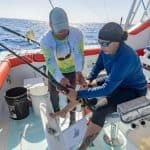 From Punta Cana: Deep Sea Fishing Tour by Boat with Drinks - Dominican Republic