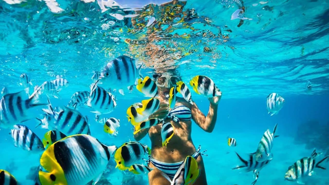 Punta Cana: Catalina Island Private Day Trip with Snorkeling - Photo 3 (Gallery view)