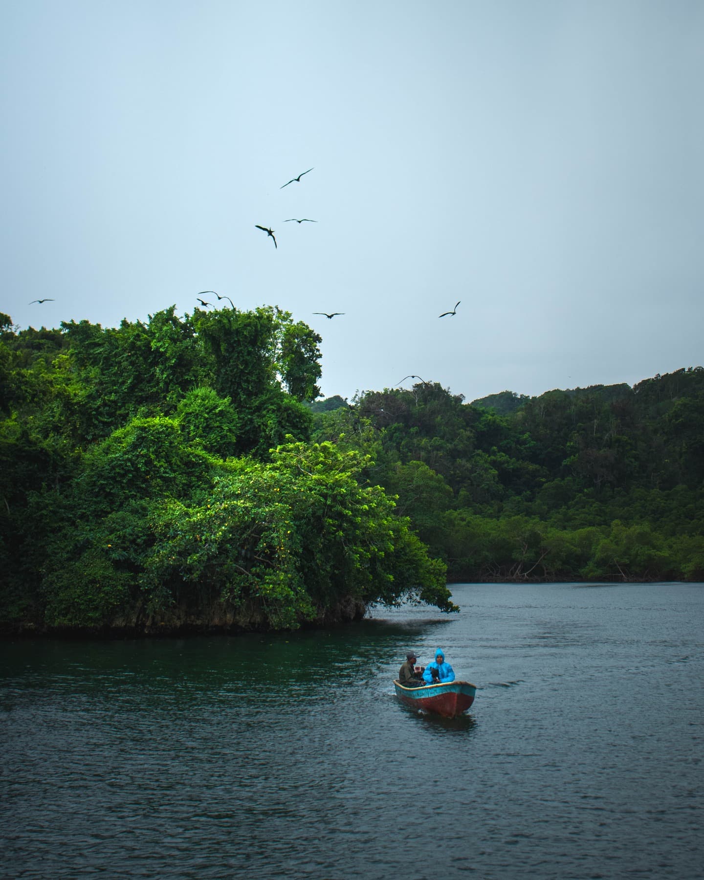 Cano Hondo Natural Pools & Los Haitises boat tour - Photo 4 (Gallery view)