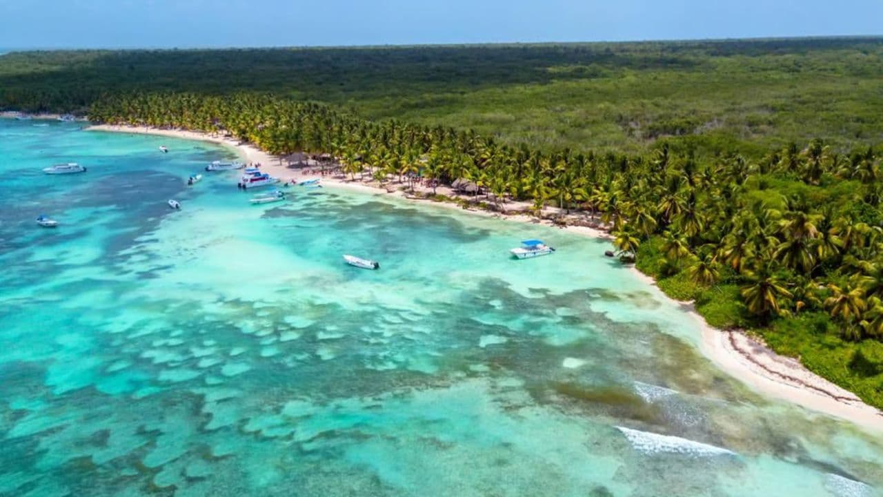 Full-Day Saona Island Tour by Speedboat - Photo 3 (Gallery view)