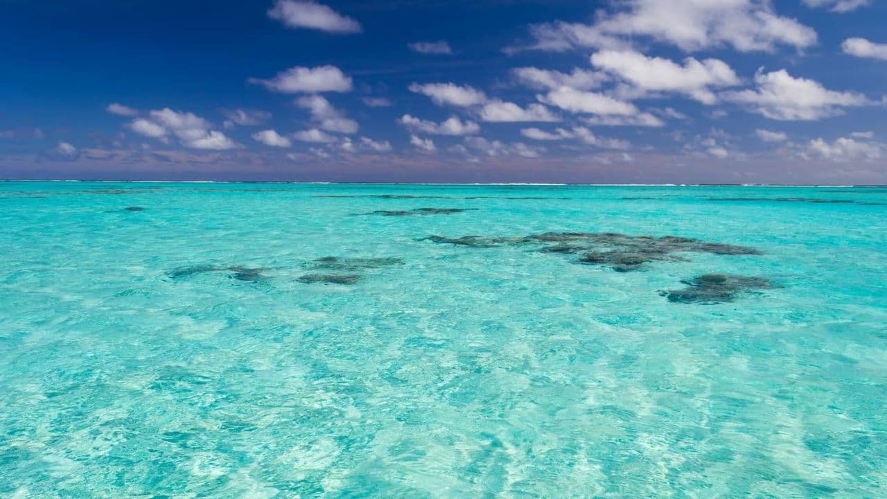 Punta Cana: Saona Island & Catamaran Party (Full Day) - Dominican Republic