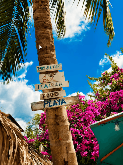 Punta Cana: Saona Island VIP Catamaran Tour All Inclusive - Dominican Republic