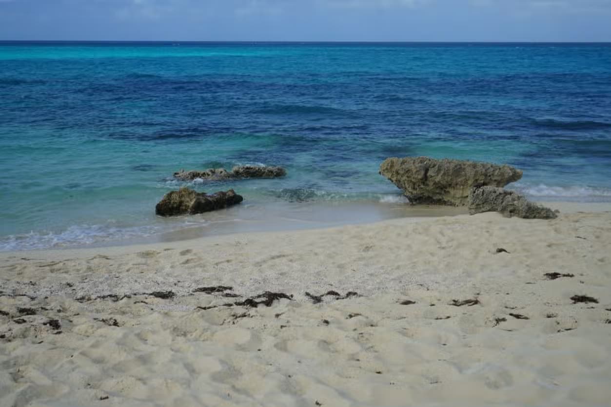 Transfer to Cayo Santa María - Photo 3 (Gallery view)