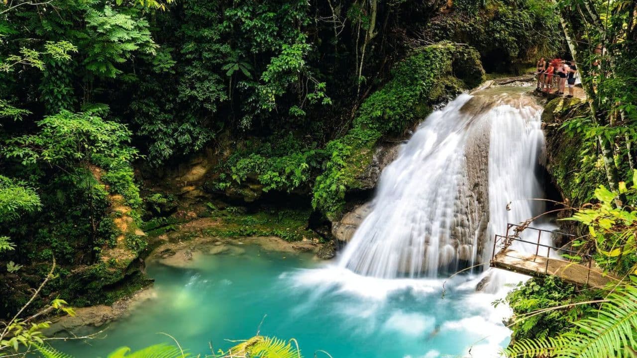 Jamaica: Full Day Dunn's River and Blue Hole with Lunch - Photo 5 (Gallery view)