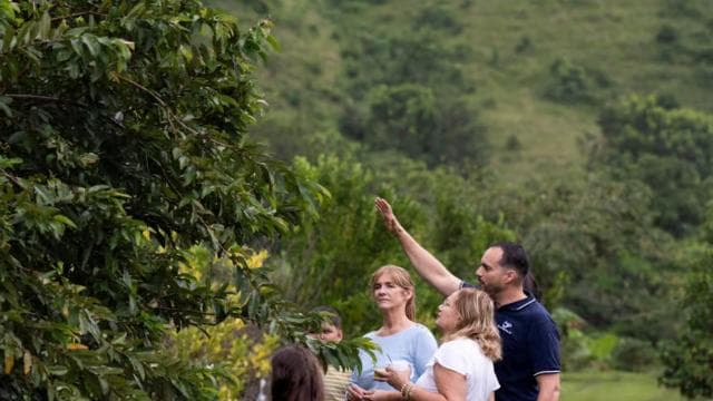 Jayuya: Coffee Tour and Workshop at Hacienda Prosperidad - Photo 4 (Gallery view)