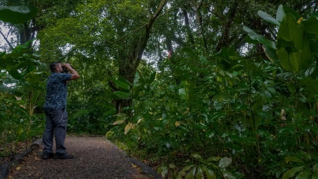 El Tanque: wycieczka z przewodnikiem po GreenEcoPark i owocami sezonowymi - Photo 2 (Gallery view)