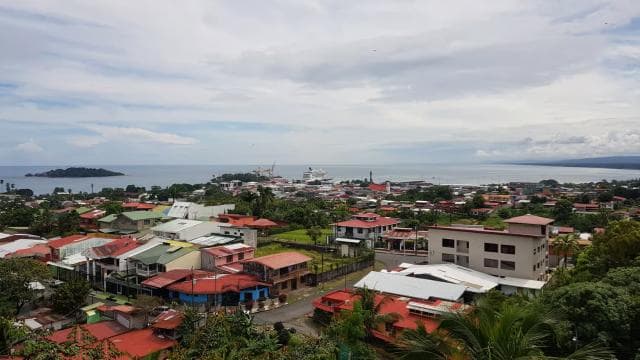 Puerto Limon: City Highlights and Cahuita National Park Tour - Photo 4 (Gallery view)