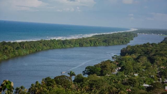 Tortuguero Ulusal Parkı'nda Kano Turu *ŞEHİRDEKİ EN İYİ* - Photo 2 (Gallery view)