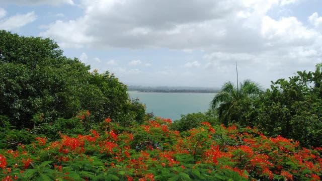 San Juan: History Walking Tour with a Guide - Photo 5 (Gallery view)