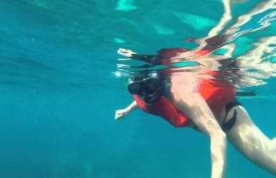 Full-Day Snorkeling Tour to Catalina Island - Photo 5 (Gallery view)