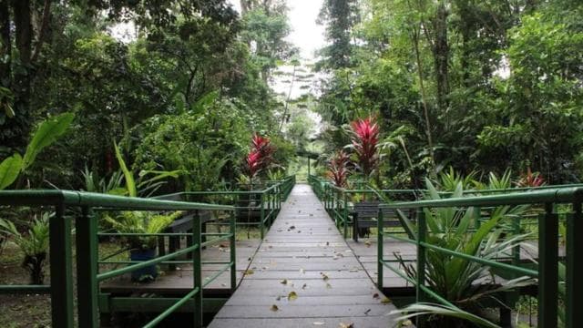 Tortuguero: Hike the Cerro Tortuguero Trail - Photo 3 (Gallery view)