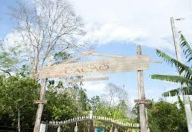 Private: Cacao Plantation Tour with Lunch & Tasting - Photo 4 (Gallery view)