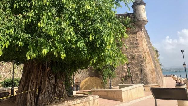 San Juan: Old San Juan Guided Walking Tour - Dominican Republic