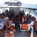 From Punta Cana: Samana Cayo Levantado Whales - Dominican Republic