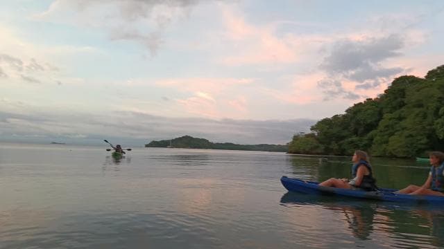 Paquera: Bioluminescent Kayak Tour Costa Rica - Photo 3 (Gallery view)