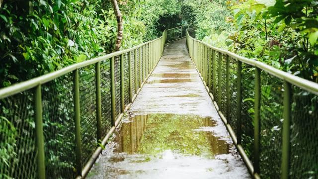 Río Celeste Milli Parkı Yürüyüşü - Photo 5 (Gallery view)