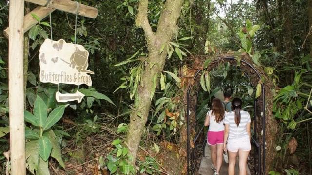 San Jose: San Luis Rainforest and Zipline Tour with Lunch - Photo 4 (Gallery view)