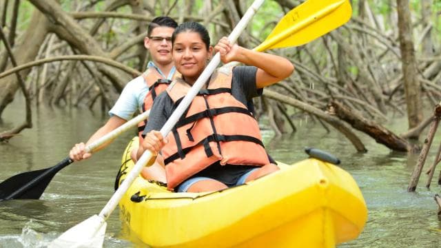 Quepos: Mangrove Kayaking Tour - Dominican Republic