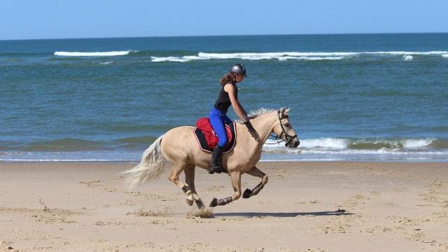 Uvita: Horseback Riding Costa Rica - Dominican Republic