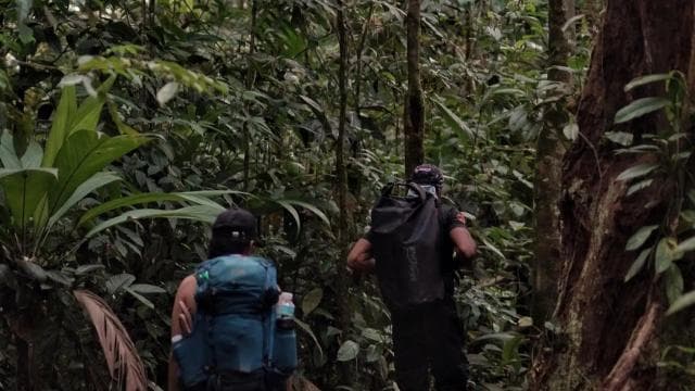 Overnight Sirena & San Pedrillo, Corcovado National Park - Photo 4 (Gallery view)
