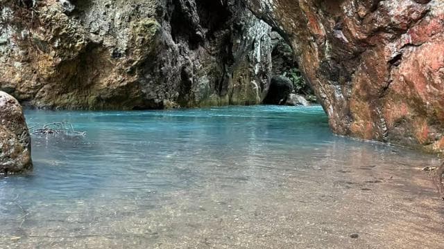 Rincon de la Vieja: La Leona Waterfall Private Tour - Photo 5 (Gallery view)