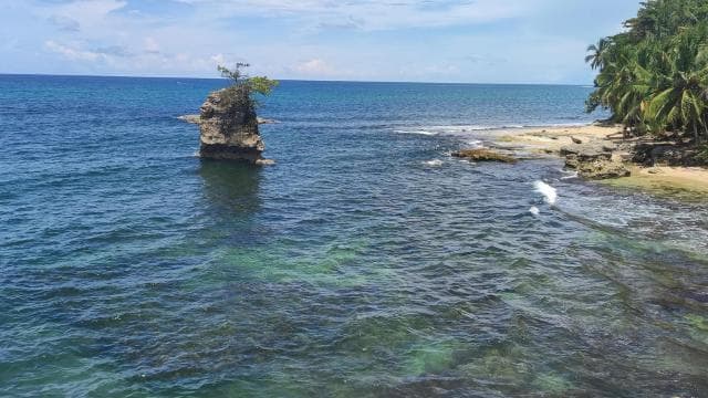 Puerto Viejo Talamanca: Hike through Gandoca Manzanillo Wild Life refuge. - Dominican Republic