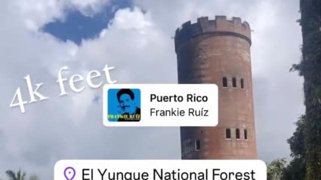 El Yunque Tour Forêt tropicale et toboggan aquatique Porto Rico - Photo 3 (Gallery view)