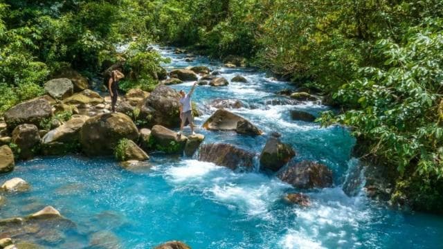 Ticket to Rio Celeste Waterfall & Tenorio National Park - Photo 3 (Gallery view)