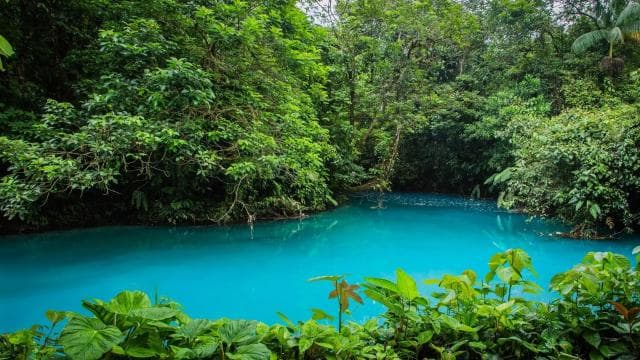 Rio Celeste Waterfall in Tenorio Volcano National Park - Photo 2 (Gallery view)