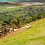 From Punta Cana: Los Haitises and Redonda Mountain Day Trip - Photo 3 (Gallery view)