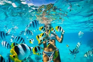 Catalina Island with Snorkel, Open Bar and Lunch - Photo 2 (Gallery view)
