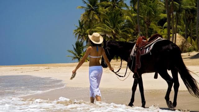 Punta Cana: Horseback Riding through Stunning Beaches - Photo 2 (Gallery view)