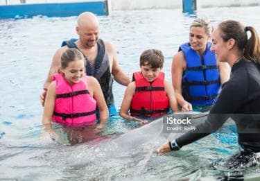 Punta Cana: Dolphin Explorer Park Entry, Swim, or Encounter - Photo 4 (Gallery view)