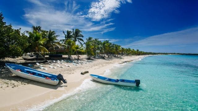 Punta Cana: Scuba Diving Catalina Island Cruise with Lunch - Photo 4 (Gallery view)
