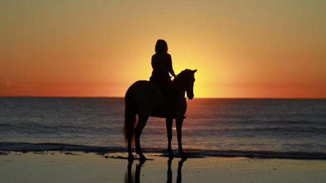 Tamarindo: Horseback to Conchal Beach Guanacaste, Costa Rica - Photo 5 (Gallery view)