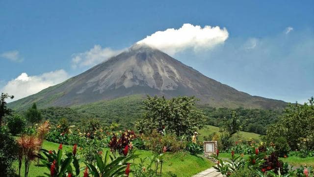 San Jose: Arenal Hanging Bridges & Baldi Hot Springs Tour - Photo 4 (Gallery view)