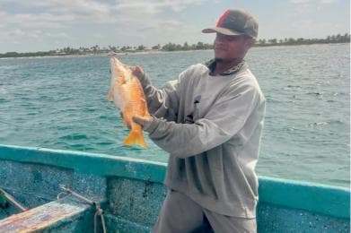 Sailing tour to Catalina Island from La Romana - Photo 5 (Gallery view)