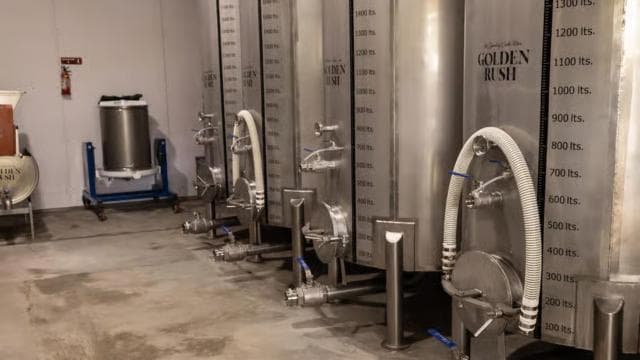 Wine Tour and Golden Rush - Photo 4 (Gallery view)