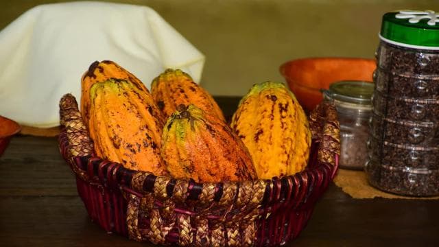 Jaco Beach & Los Suenos: Chocolate Tour and Zip lining - Dominican Republic